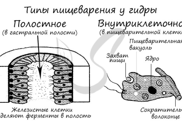 Сайт купить наркотики