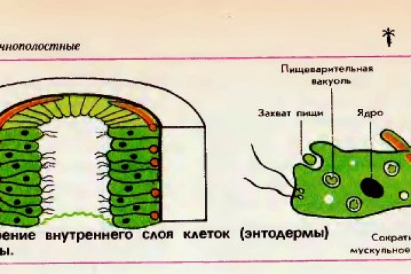 Мега ссылка онион настоящая