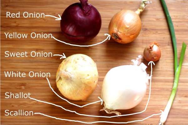 Omg onion com