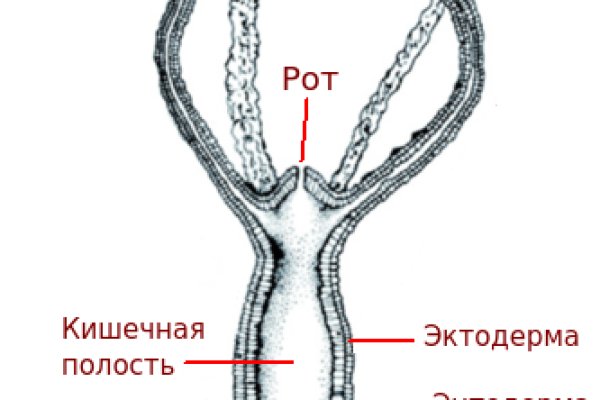 Как на меге купить биткоины с карты